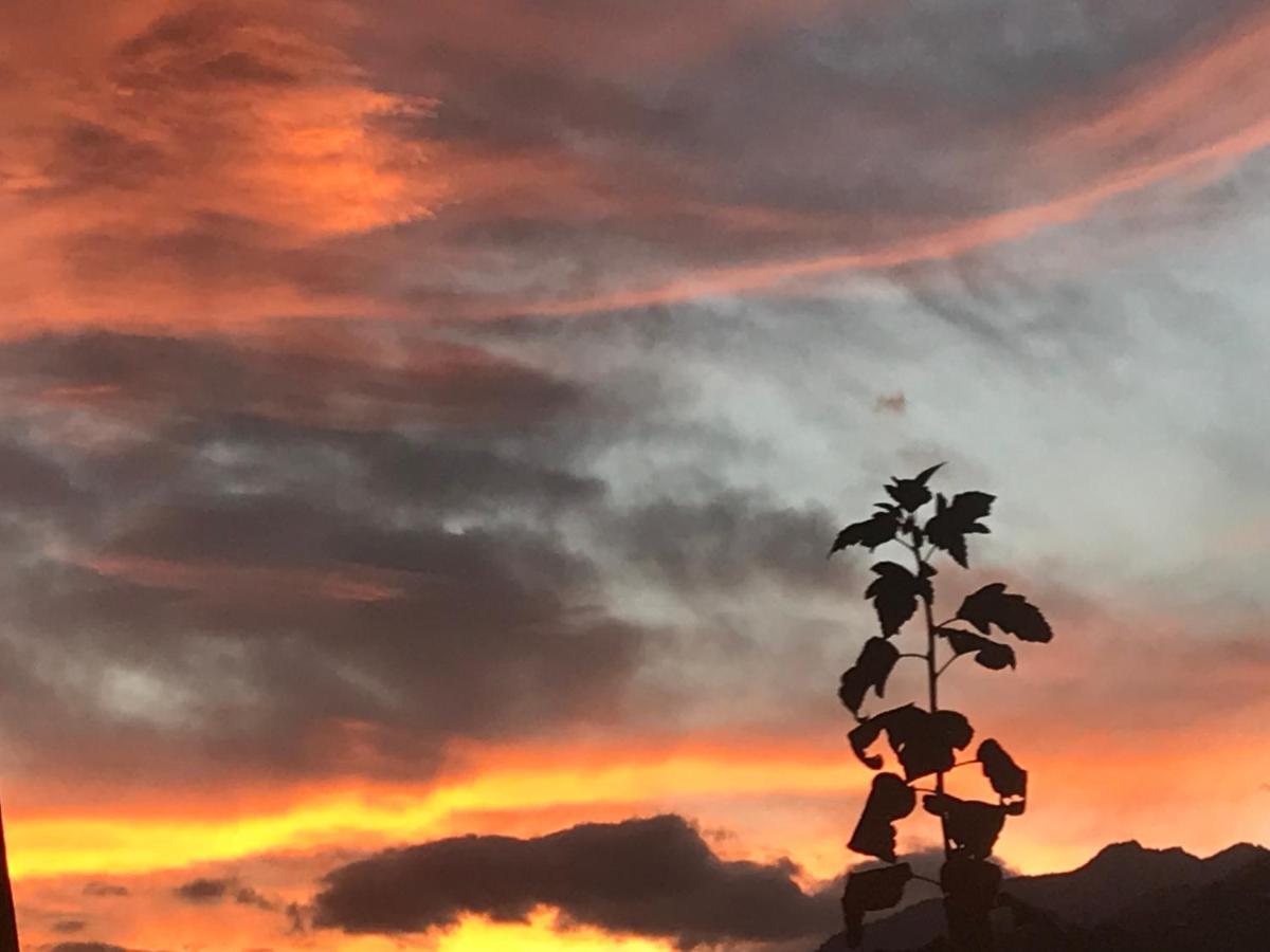 Appartamento Alte Post Mit Geschichte Und Restaurant Tavanasa Esterno foto